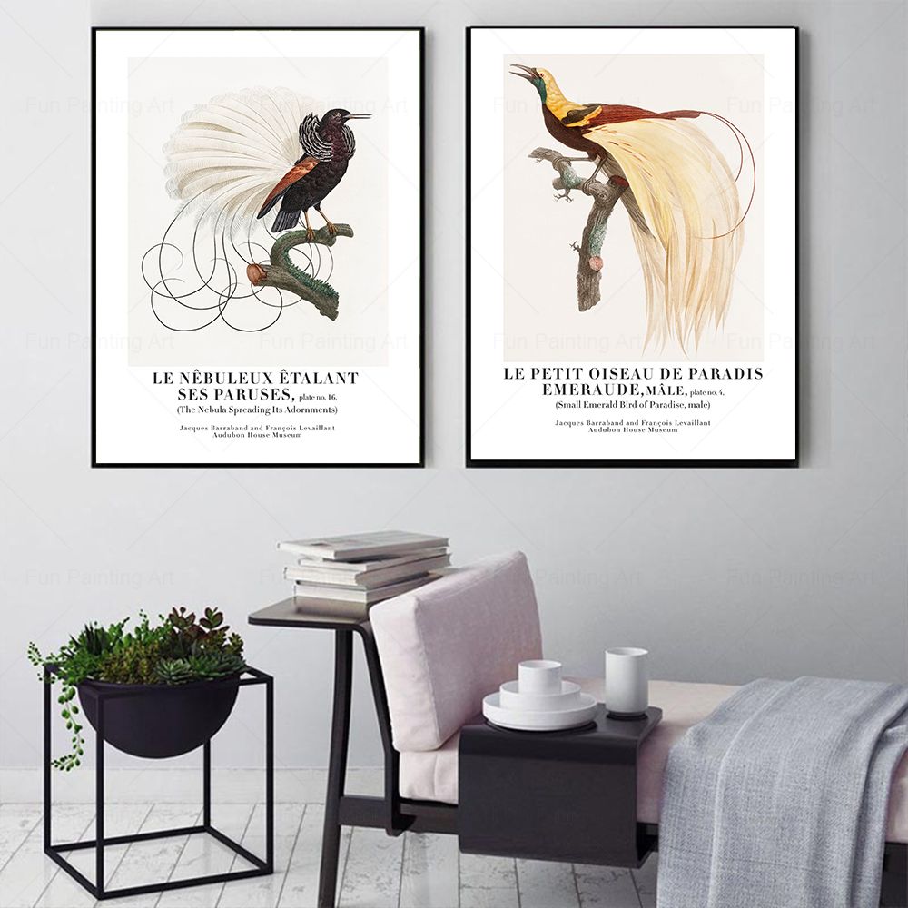 Vintage Paradise Bird Wand Kun – Furniture Paradise & Hardware Ghaziabad Photos Bewertung und Preis