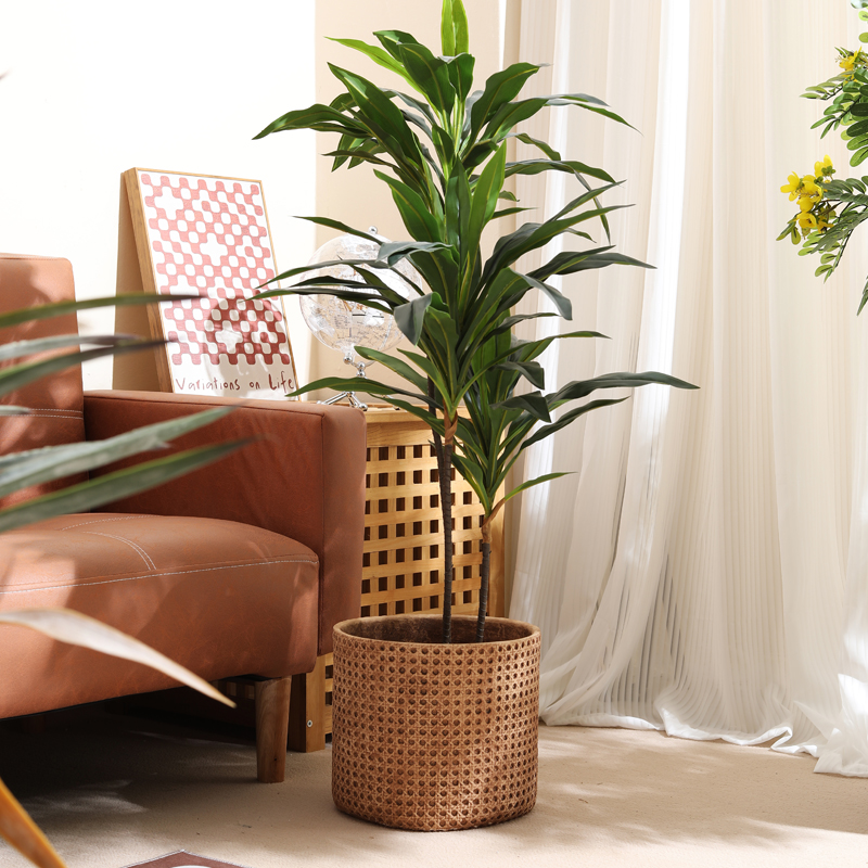 Möbel für kleine Wohnungen, ra – Furniture Paradise & Hardware Ghaziabad Photos Bewertung und Preis